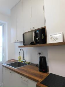 a kitchen with a sink and a microwave at Cetinjska apartment in Belgrade