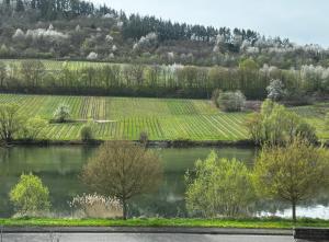 a view of a river and a vineyard at Ferienwohnung Moselblick Zell-Merl - Merllorca DG Panoramablick & Parkplatz in Zell an der Mosel