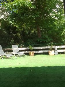 two chairs sitting on the grass in a yard at studio dans les arbres in Saint-Paulet-de-Caisson