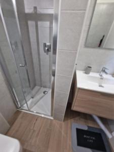 a bathroom with a shower and a sink at BINARIO 16- new loft in Marone +6 photos