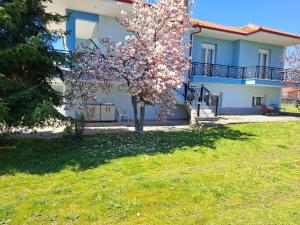a house with a flowering tree in front of it at Dinaki apartment in Florina