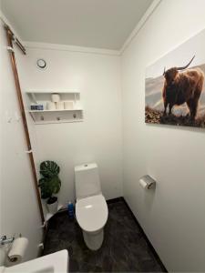 a bathroom with a toilet and a picture of a bull at Bryggans Vandrarhem in Västervik