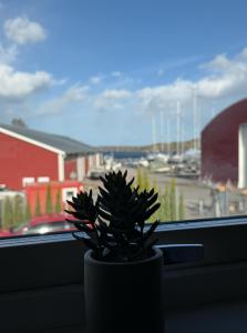 a plant in a vase sitting in a window at Bryggans Vandrarhem in Västervik