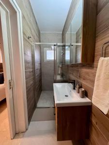 a bathroom with a sink and a shower at Villa Lapethos in Kyrenia