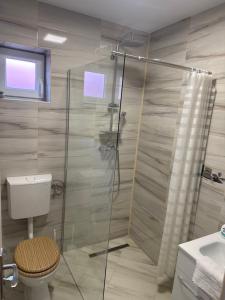 a bathroom with a toilet and a glass shower at Casa Lemnarului in Micfalău +17 photos