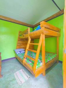 a bunk bed in a room with a green wall at Joan's All Seasons Homestay in Taccon +2 photos