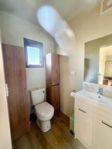 a bathroom with a toilet and a sink at BENROSE FARM COTTAGES in Wellington +9 photos