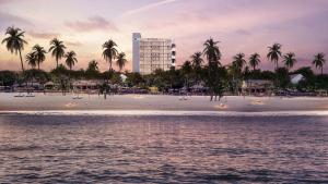 a view of a beach with palm trees and a building at The Loft Mirissa in Mirissa