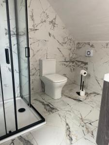 a marble bathroom with a toilet and a shower at Seaside Suite Quilty in Quilty