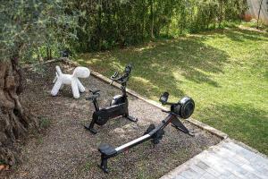 a yard with three exercise bikes and a white dog at Villa 7 in Perivólia +59 photos