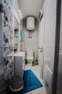 a small bathroom with a toilet and a blue rug at Apartman Lena lux in Vrnjačka Banja +9 photos