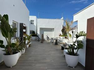 a balcony with potted plants and a table and chairs at Cal Xot in Poblenou del Delta