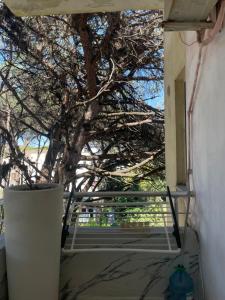 a view of a tree from a balcony at Sior in Golem +4 photos