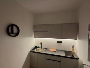 a kitchen with a sink and a counter top at Lake View Terrace Apartment Dapcevic in Vranjina +45 photos