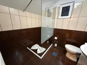 a bathroom with a toilet and a glass shower at Vila Rhea in Caciulata +19 photos