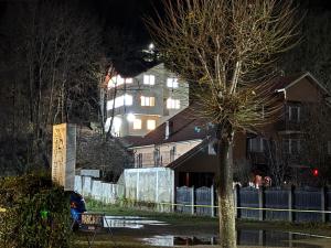 a building at night with a tree in front of it at Vila Rhea in Caciulata