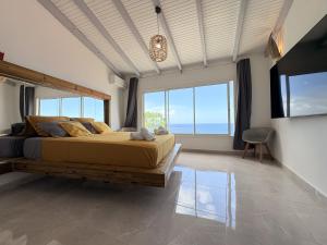 a bedroom with a large bed and large windows at Les Terrasses du Fort in Basse-Terre