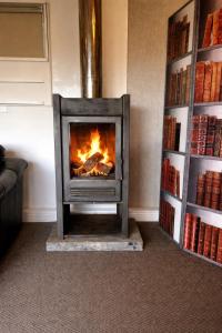 a fireplace in a living room with books at Waterside Cabin in Belturbet