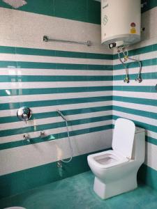 a bathroom with a white toilet and a shower at Supreme Lake in Srinagar