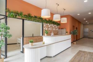 an office lobby with plants on the wall at Amro Pamplona - Albergue Juvenil in Pamplona