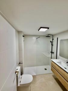 a bathroom with a shower and a toilet and a sink at Suite Triana in El Rocío