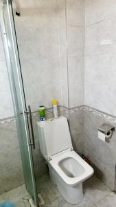 a bathroom with a toilet and a shower stall at Sky Nest 14 in Nairobi