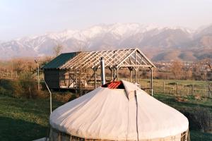 a tent in a field with mountains in the background at Nomad Yurt, 60 year old in Ryskulovo +12 photos