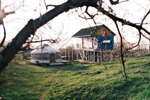 a house in a field with a tree at Nomad Yurt, 60 year old in Ryskulovo