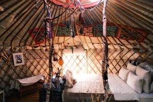 a dog sitting on a bed in a yurt at Nomad Yurt, 60 year old in Ryskulovo
