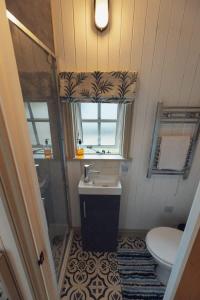 a bathroom with a sink and a toilet at Shepherd's Hut - Jasmine in Haverfordwest
