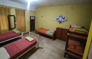 a room with two bunk beds and a mirror at Nomads Hostel in Puerto Iguazú +27 photos