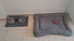 a bunch of balls sitting on a rug on a floor at Pet Friendly Apto El Sendero in El Bosque