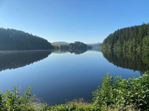 a view of a lake with trees on the shore at Apartmentanlage am Kellerberg in Zandt