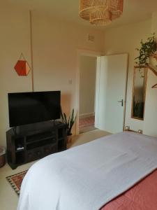 a bedroom with a bed and a flat screen tv at Cozy Homestay in Rothesay