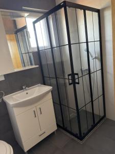 a bathroom with a shower with a sink and a toilet at Prestige Deluxe View Villa in Ilijaš