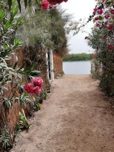 a garden path with flowers and a body of water at lasofia in Mbodiène