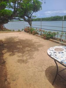 a bench sitting in front of a body of water at lasofia in Mbodiène