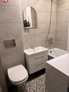 a bathroom with a toilet and a sink and a mirror at Ventos g 51 Apartment in Mažeikiai +9 photos