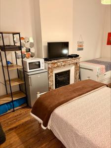 a bedroom with a fireplace with a tv and a bed at vaste chambre familiale in Bourg-en-Bresse