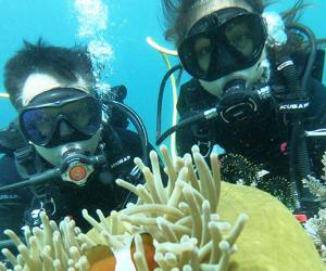 two people wearing diving gear on a coral reef at Seawave Beach and Dive Resort in Lobo