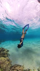a woman is swimming in the water at Seawave Beach and Dive Resort in Lobo