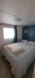 a bed in a room with a window at Location mobil-home camping Pedro Confort & détente in Le Grau-dʼAgde +5 photos