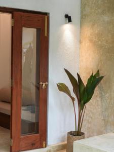a wooden door and a plant in a room at Studio K Ahangama in Ahangama