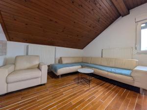 a living room with a couch and a table at Spacious Condo w Terrace & Piano in Sesvete