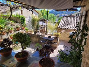 a patio with a bunch of potted plants and a table at Maisonnette avec terrasse sur le Gardon in Anduze