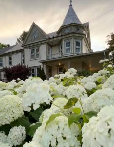 a house with white flowers in front of it at Pinôt Boutique Hôtel in Sutton