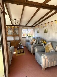 a living room with couches and a table at Beautiful Rural Holiday Chalet With Hot tub and Igloo cinema in Lincolnshire