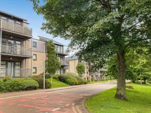 a tree on the side of a street with a building at Spacious 2-Bedroom Ground Floor Flat with 2 Double Beds, Sleeps 4 in Central Aberdeen in Aberdeen