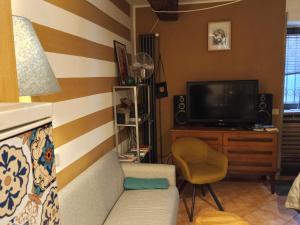 a living room with a couch and a television at Propaganda Room in Albano Laziale