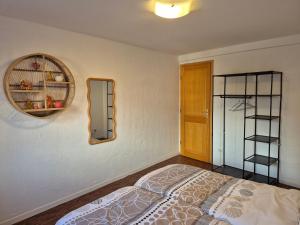 a bedroom with a bed and a mirror on the wall at Le repaire des Manalas in Ingersheim